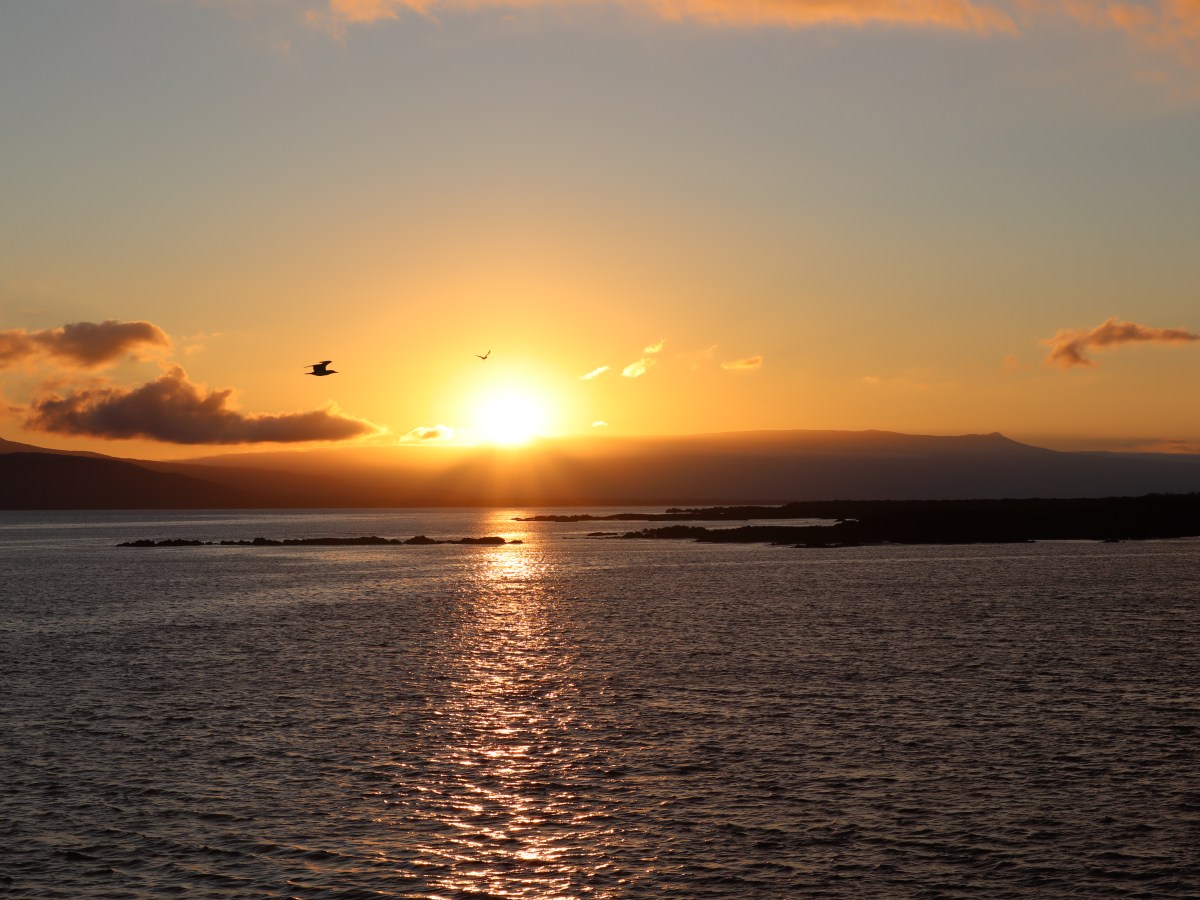 CALL – WE ARE ALL FRAGMENTS OF EACH OTHERS&nbsp;LIVES