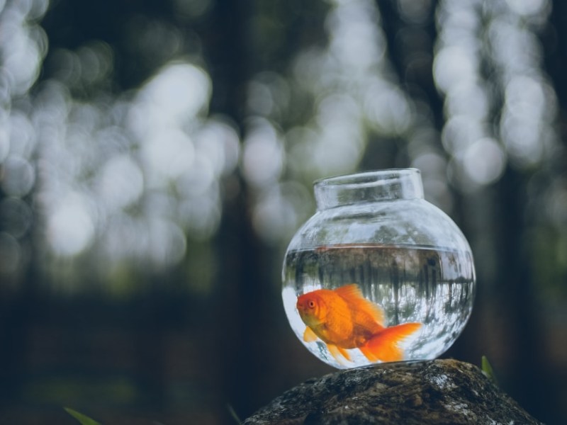 Call – THE NATURE OF&nbsp;IDEAS